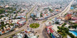 梨树和桃树的区别，梨树和桃树的嫁接以及品种改良有哪些值得探讨的问题？缩略图