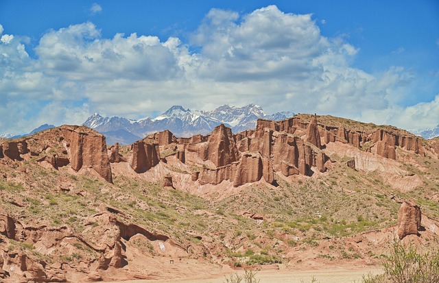 梨树和苹果树的区别，梨树和苹果树的嫁接与杂交的可能性和挑战是什么？插图