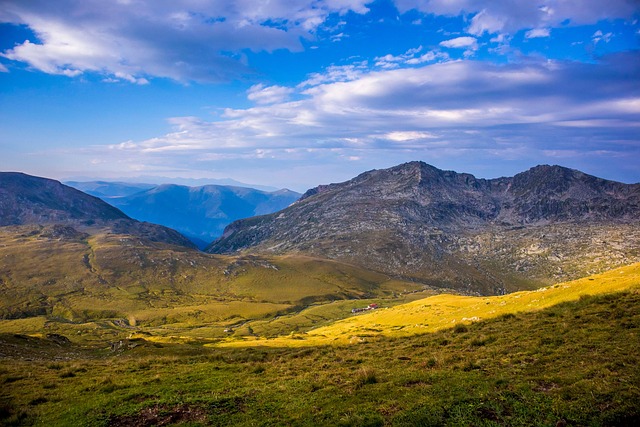 建兰和惠兰的区别,建兰和惠兰在栽培上有哪些需要注意的区别?插图 建兰和惠兰的区别,建兰和惠兰在栽培上有哪些需要注意的区别?插图