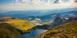 大花惠兰和墨兰的区别，大花惠兰和墨兰在杂交育种方面有哪些进展？缩略图