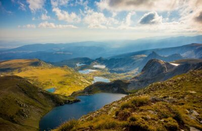 大花惠兰和墨兰的区别，大花惠兰和墨兰在杂交育种方面有哪些进展？缩略图
