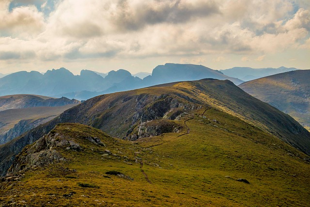 月季花和蔷薇花的区别,月季花品种繁多,如何进一步分类和鉴赏?插图 月季花和蔷薇花的区别,月季花品种繁多,如何进一步分类和鉴赏?插图
