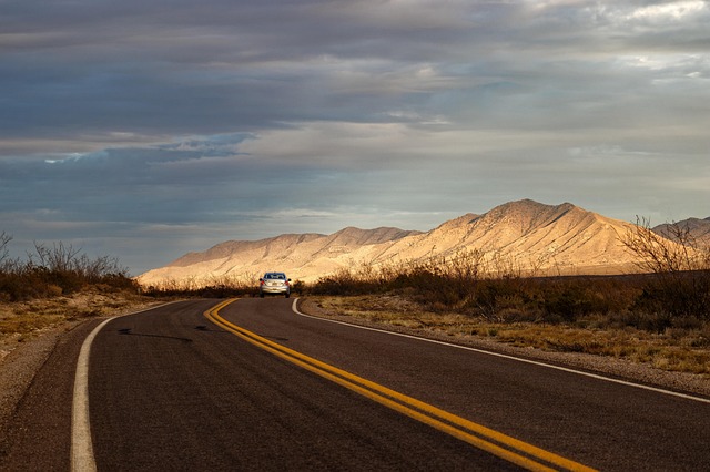 猪笼草与茅膏菜的区别,猪笼草和茅膏菜在食虫植物中的地位和进化关系如何?插图 猪笼草与茅膏菜的区别,猪笼草和茅膏菜在食虫植物中的地位和进化关系如何?插图