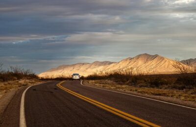 猪笼草与茅膏菜的区别，猪笼草和茅膏菜在食虫植物中的地位和进化关系如何？缩略图