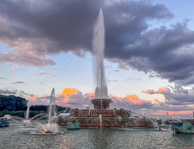 薄雪万年草和球松的区别，薄雪万年草和球松在园艺应用上有什么不同？插图