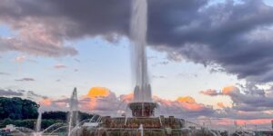 薄雪万年草和球松的区别，薄雪万年草和球松在园艺应用上有什么不同？缩略图