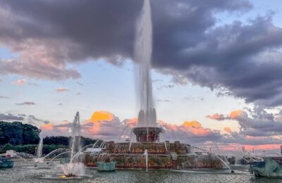 薄雪万年草和球松的区别，薄雪万年草和球松在园艺应用上有什么不同？缩略图