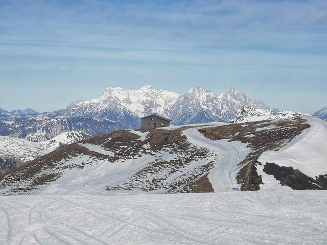 怎么辨别波路，怎么让多肉长出漂亮的波路？插图
