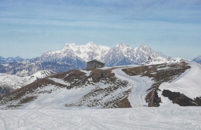 怎么辨别波路，怎么让多肉长出漂亮的波路？缩略图