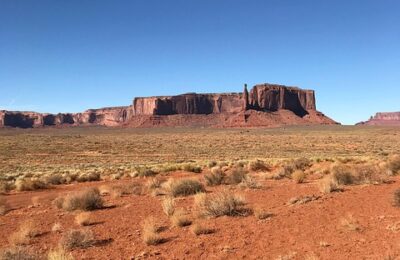 房前屋后全是多肉，多得只能喂牛！，房前屋后全是多肉，多得只能喂牛！——更深层次的探讨缩略图