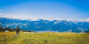 想要一个家，房前屋后种满花！，“想要一个家，房前屋后种满花！” 如何实现这个梦想？缩略图