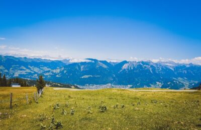 想要一个家，房前屋后种满花！，“想要一个家，房前屋后种满花！” 如何实现这个梦想？缩略图