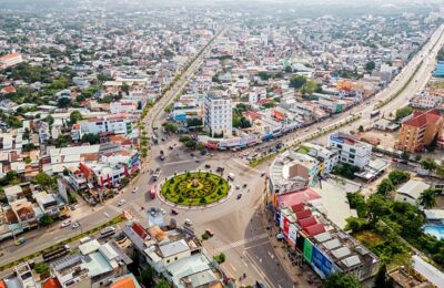 元宝树和幸福树的区别，元宝树和幸福树哪个更适合在家养？缩略图