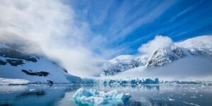 也门铁和巴西木的区别，也门铁和巴西木在养护上有什么区别？缩略图