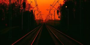 蟹爪兰和假昙花的区别，蟹爪兰和假昙花还有哪些容易混淆的地方？缩略图