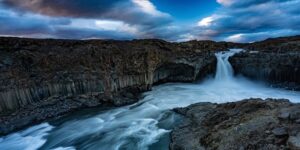 蜀葵和锦葵的区别，蜀葵和锦葵在园艺应用上有什么不同？缩略图