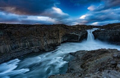 蜀葵和锦葵的区别，蜀葵和锦葵在园艺应用上有什么不同？缩略图
