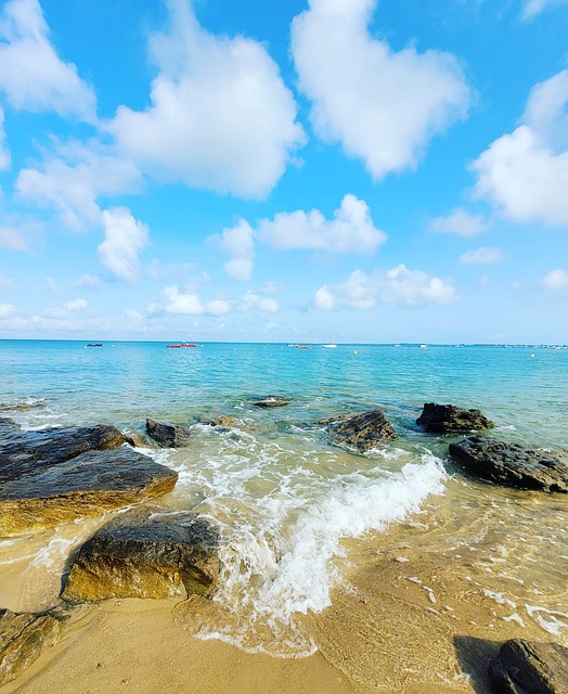 蔓绿绒和春羽的区别,如何更准确地分辨蔓绿绒和春羽?插图 蔓绿绒和春羽的区别,如何更准确地分辨蔓绿绒和春羽?插图