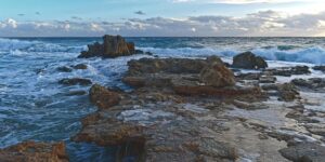 龙牙花和刺桐的区别，龙牙花和刺桐在园林应用中有什么不同？缩略图