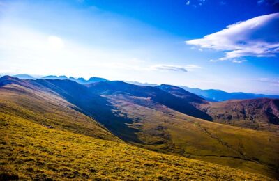 补血草和勿忘我的区别，补血草和勿忘我在园艺应用上的区别和未来发展趋势？缩略图