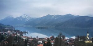 龙船花和绣球花的区别，龙船花和绣球花在园艺培育上有什么需要注意的区别？缩略图