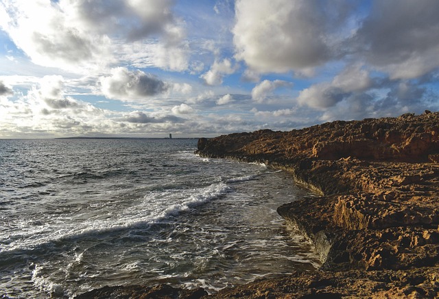 绿豆水培小盆栽养法,绿豆水培小盆栽进阶技巧以及常见问题解答?插图 绿豆水培小盆栽养法,绿豆水培小盆栽进阶技巧以及常见问题解答?插图