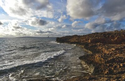 绿豆水培小盆栽养法，绿豆水培小盆栽进阶技巧以及常见问题解答？缩略图