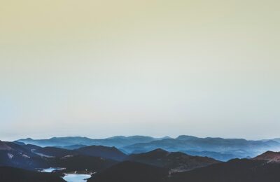 龟背竹换盆时间及注意事项，龟背竹换盆后叶子发黄怎么办？缩略图