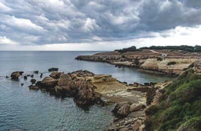生菜球和生菜的区别，生菜家族还有哪些不为人知的秘密？缩略图