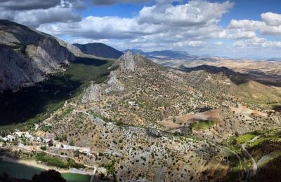毛地黄和蜀葵的区别，毛地黄的毒性和观赏价值如何平衡？缩略图