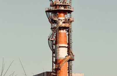 幸福树与富贵树的区别，幸福树和富贵树哪个更适合家居环境？缩略图