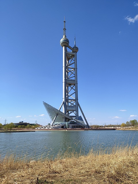 四季桂和银桂的区别,四季桂和银桂哪个更好?插图 四季桂和银桂的区别,四季桂和银桂哪个更好?插图