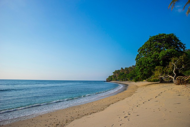 蔓马缨丹和马樱丹的区别,马缨丹的入侵性与防治方法插图 蔓马缨丹和马樱丹的区别,马缨丹的入侵性与防治方法插图