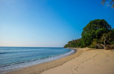 蔓马缨丹和马樱丹的区别，马缨丹的入侵性与防治方法缩略图