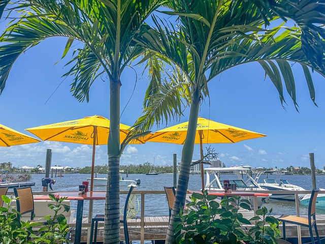 蛇床与胡萝卜的区别,蛇床子与胡萝卜籽的误食风险及如何避免?插图 蛇床与胡萝卜的区别,蛇床子与胡萝卜籽的误食风险及如何避免?插图