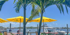 蛇床与胡萝卜的区别，蛇床子与胡萝卜籽的误食风险及如何避免？缩略图