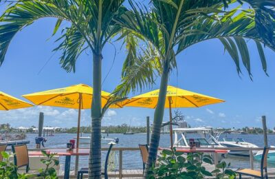 蛇床与胡萝卜的区别，蛇床子与胡萝卜籽的误食风险及如何避免？缩略图