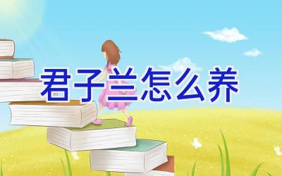 君子兰怎么养插图 君子兰怎么养插图