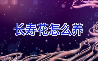 长寿花怎么养插图