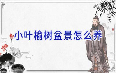 小叶榆树盆景怎么养插图 小叶榆树盆景怎么养插图