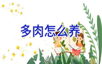 多肉怎么养插图 多肉怎么养插图