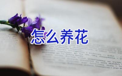 怎么养花插图 怎么养花插图