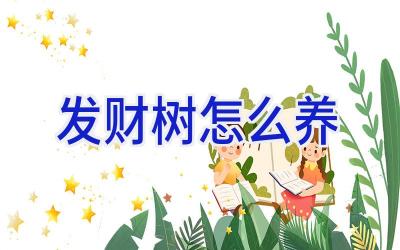 发财树怎么养插图 发财树怎么养插图