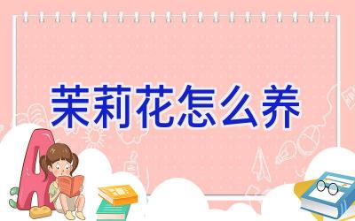 茉莉花怎么养插图