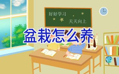 盆栽怎么养插图