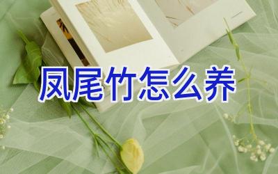 凤尾竹怎么养插图 凤尾竹怎么养插图