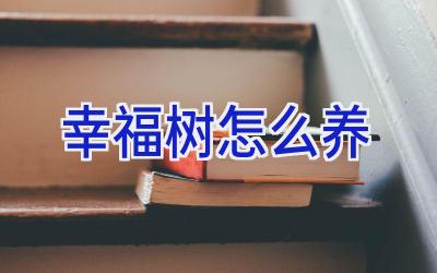 幸福树怎么养插图 幸福树怎么养插图