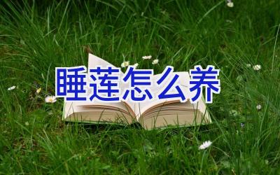 睡莲怎么养插图 睡莲怎么养插图