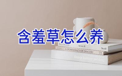 含羞草怎么养插图 含羞草怎么养插图