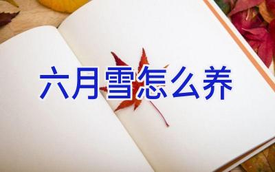 六月雪怎么养插图